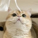 은하면 금리마을회관 | 2026 블로그 문답 | 정리