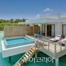 선셋크루즈 이미지