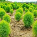 도시계획 행정사 사무소 이미지