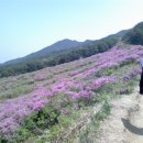 지리산 바래봉 예비 산행 결과 보고 이미지