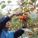 농은농장 이미지