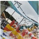 신두리세븐패밀리캠핑장 이미지