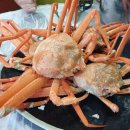 오이소홍게무한리필 이미지