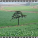 용인목장 이미지