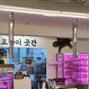 대연반찬 이미지