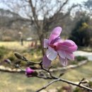 목련쉼터 이미지