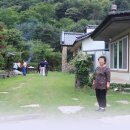 황룡뿌리(흑염소농장) 이미지