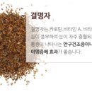 다비치안경 용인사거리점 이미지