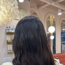 샹델 이미지