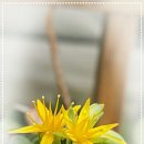 송정하우스 이미지