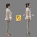 약손미체형관리 네이버블로그