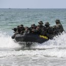 [포토]해병대, 동남아 최대 ‘코브라골드’ 연합훈련 이미지