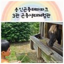 305농장 | 용인곤충테마파크 3관 곤충생태체험관 후기｜토끼 거북이 먹이주기