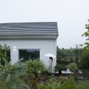 월랑소운 이미지