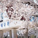 인천대공원(인천목재문화체험장) 이미지