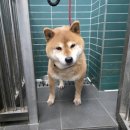 외솔길19번길 이미지