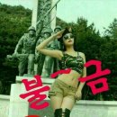요일 Daum카페