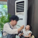 대전 군산집 내돈내산 간장게장 양념게장 꽃게탕까지 완벽했던 대전맛집