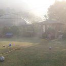 에버그린민박 이미지