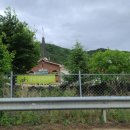 금송아지 이미지