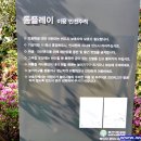 부산시민공원 뽀로로도서관 이미지