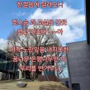 주간요가 이미지