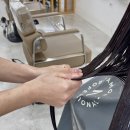 라니살롱 | 구미 모발클리닉 추천｜시세이도 살롱 솔루션 클리닉 후기/과정