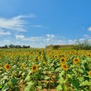 연천호로고루 이미지