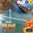 11월1일 (토) 화천 산소길 축제(마감합니다) 이미지