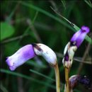 상궁목장 이미지