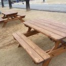 오선초등학교 이미지