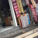짱구세탁소 | 발리 더코무 짱구 핀스 비치 클럽 근처 숙소 솔직후기