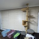 풍림아파트 이미지