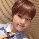 도현