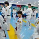 참다운 태권도 이미지