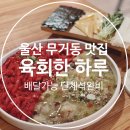 울산 무거동 맛집 울산대또간집 육회한하루 육회타코