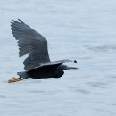 노을해안로 이미지