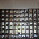 제주여행 | 제주도 미니버스 투어 단체로 다녀온 제주 여행 후기