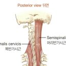 올바른필라테스&PT 이미지