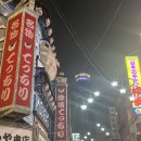 회성극장 | 🇯🇵 일본 간사이 4박 5일 여행 #5 오사카 신세카이, 덴덴타운