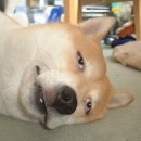 클라우드 짐 이미지