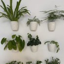 사임당로 106 | [강릉/고요] 사장님 서울에도 가게 내주시면 안 될까요