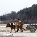 달구지 이미지