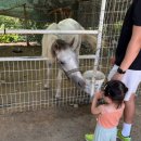 대경목장 이미지