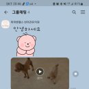 퍼피엔젤스 이미지