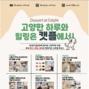캣플 동탄점 이미지
