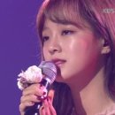 꽃길라이브