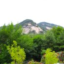 장미정원 이미지