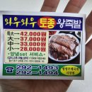 와우와우왕족발 - 북구 동대20길 5 | 와우와우왕족발