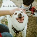 팅커벨하우스 이미지